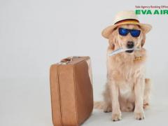 Vật nuôi đi máy bay EVA Air có cần hộ chiếu không?